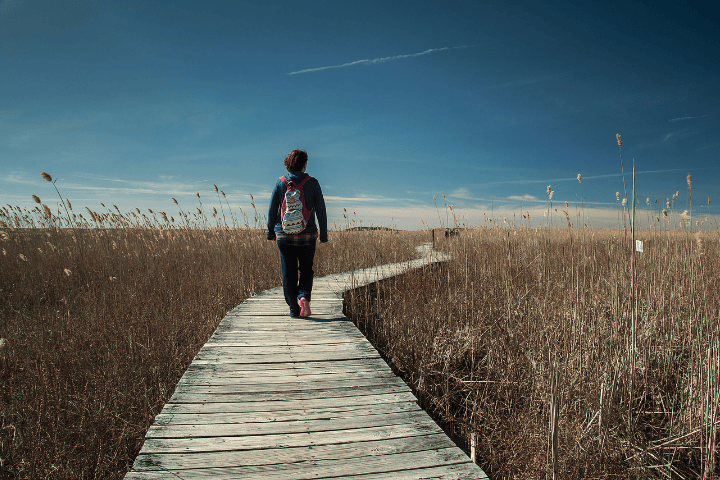 Things To Do Hiking & Trails